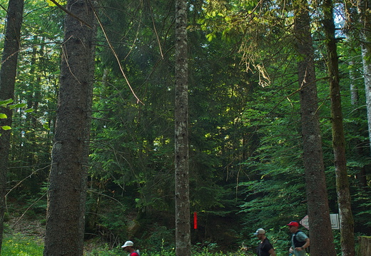 Les Drayes du Vercors 2025 (64)